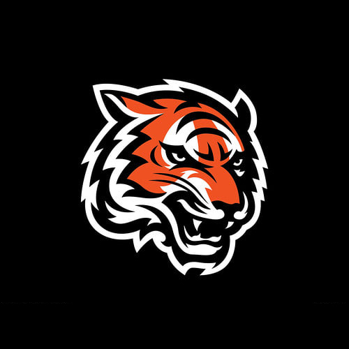 Cincinnati Bengals Tickets