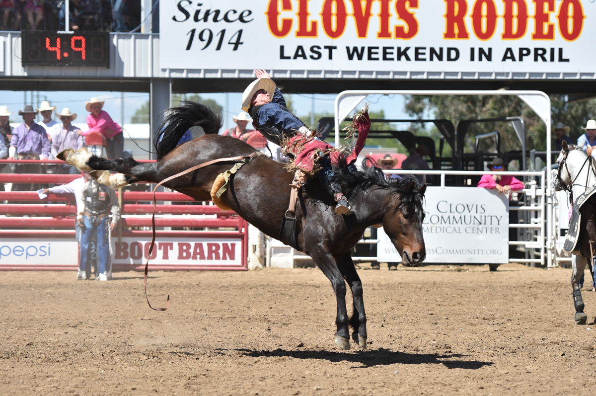 Find tickets to Rodeos and Equine Tournaments