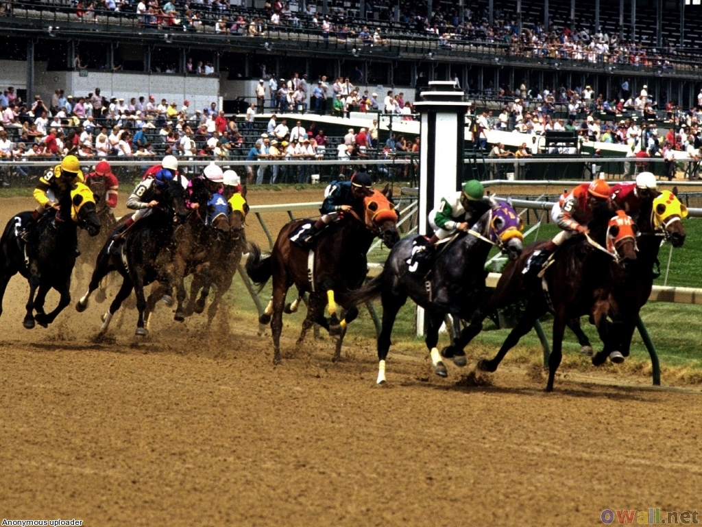Find horse racing tickets