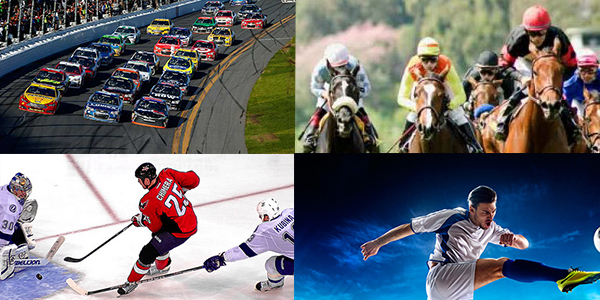 Defining the types of Sports