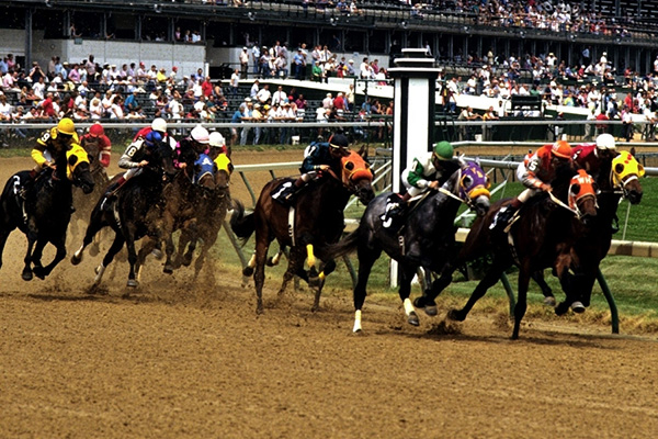 Buy Horse Racing Tickets at Tixpick.com